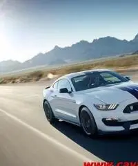 FORD Mustang GT 350 Shelby