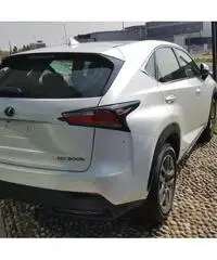Lexus NX Hybrid 4WD Icon
