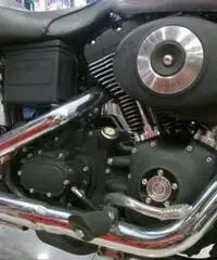 DYNA Sport 1450 Limited Edition