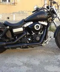 Harley Street Bob 2010