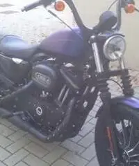 Harley Davidson Iron