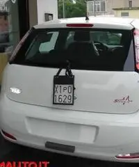 FIAT Punto 1.2 8V 5 porte Street  KM O!!!!