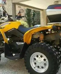 Can am renegade 800