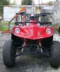 QUAD ADLY 300