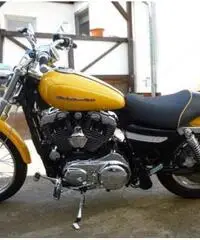 Harley-Davidson Sportster 1200C