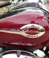 VENDO BELLISSIMA HONDA CUSTOM VT 750