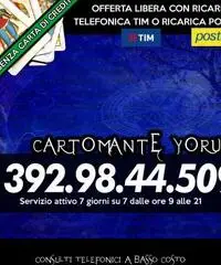 (¯`’•.¸(¯`’•.¸*♫♪♥( CARTOMANTE YORUBA )♥♫♪*¸.•’´¯)¸.• ‘´¯)