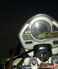 Honda Hornet 600 Dell 2008