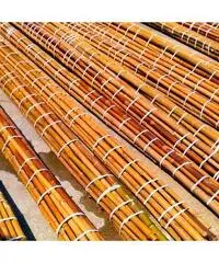 In vendita canne di bambù bambu con diametri da 1 a 10 cm. lunghezza da definire