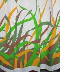 Caravan Roller Europ 4,30 con Veranda roller