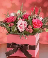 distinto cerca Signora per amicizia sviluppi..