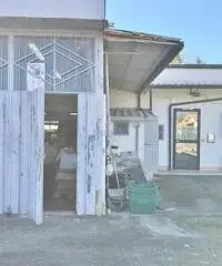 Capannone a Montramito