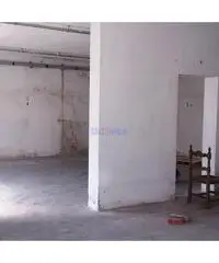 Capannone a Segromigno