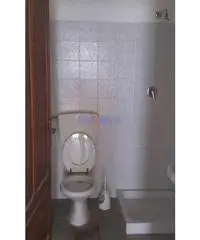 Capannone a Segromigno