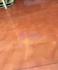 Capannone a Camaiore