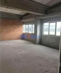 Capannone a Camaiore