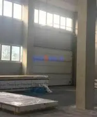 Capannone a Camaiore