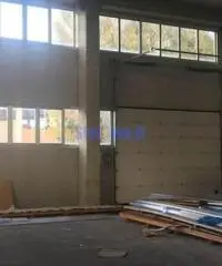 Capannone a Camaiore