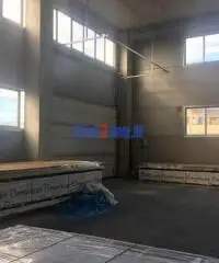 Capannone a Camaiore