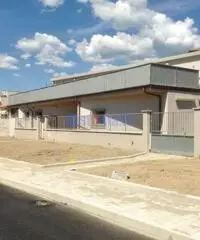 Capannone a Viareggio