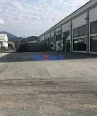 Capannone a Massarosa