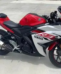 2015 Yamaha YZF R3