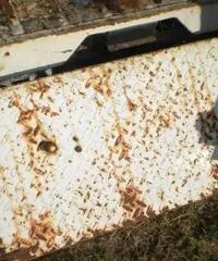 Jeep Willys sportello posteriore