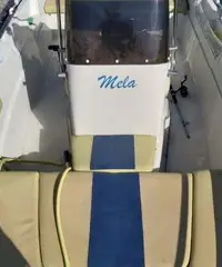 Barca 6mt open motore Evinrude