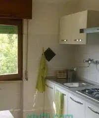 Affittasi appartamento con bellissima vista lago