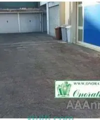 Locale Commerciale, Guidonia Montecelio, Setteville mq 220