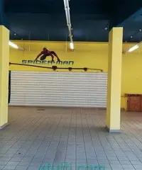 Ampio Negozio con Piazzale (Ad Alta Visibilità)