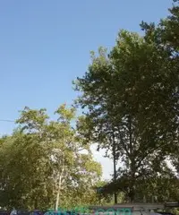 Affitto stanze studio medico