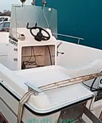 Gobbi con motore Johnson