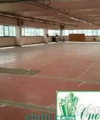 Capannone uso artigianale/magazzino mq 900 A-715