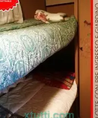 Roulotte con pre Ingresso e Giardino