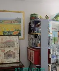 Monolocale ingresso indipendente senza spese condominiali a