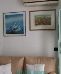 Monolocale ingresso indipendente senza spese condominiali a