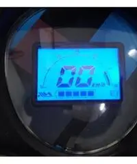 Biciclette elettrica