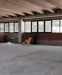 ALBESE con CASSANO (CO) - CAPANNONE - 1.232 mq