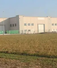 Terreno commerciale di 8000 mq. - zona urbanizzata