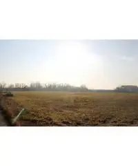 Terreno commerciale di 8000 mq. - zona urbanizzata