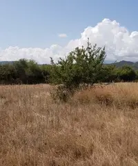 Terreno edificabile turistico/servizi