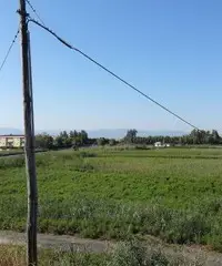 Terreno edificabile 5000mq