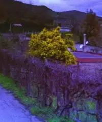 Casa indipendente a 5 minuti da Mistretta