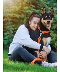 fare u come i cani? Contattatemi poi