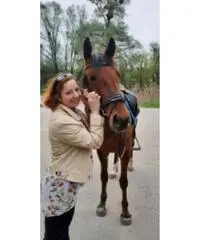 Cerco relazione seria