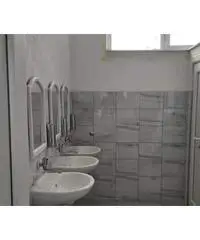 Disponibile artigiano edile