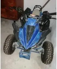 Altro Altro modello - 2012