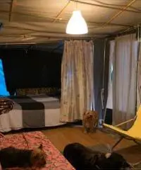 Roulotte fissa camping spina village