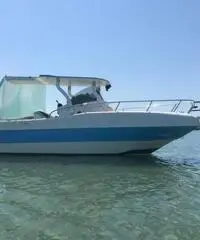 Walk around 26 piedi con Suzuki df 225 cv